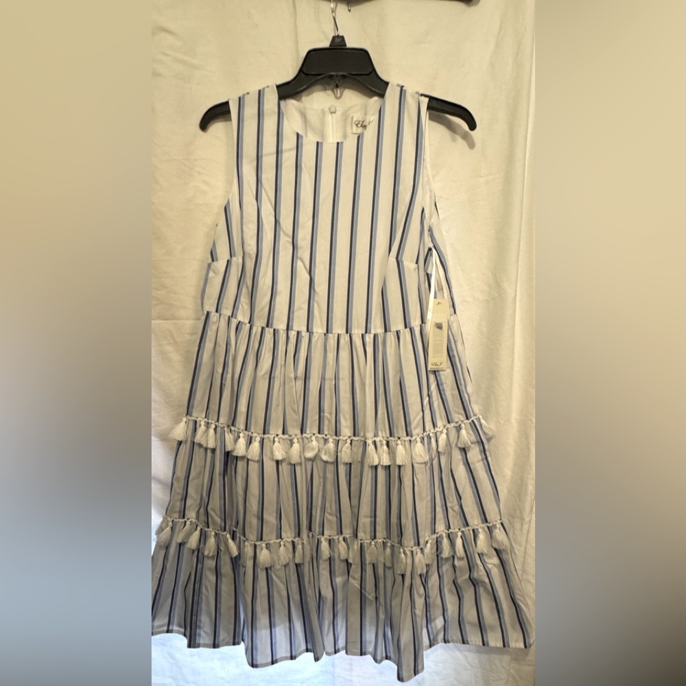 Striped Blue and White womens dress